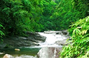 Kerala Waterfalls