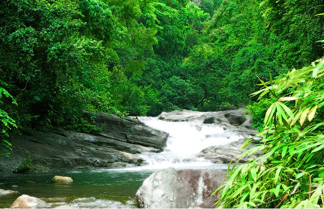 Kerala Waterfalls