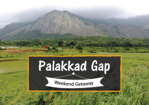 scenic view through Palakkad Gap