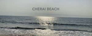 Cherai Beach shoreline near Cochin