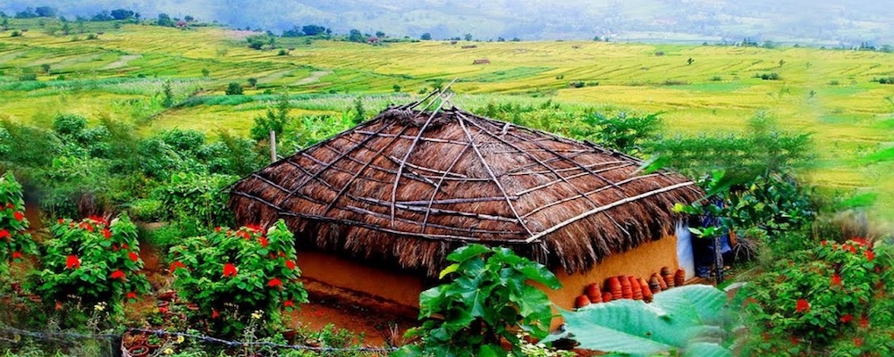 Kanthalloor fruit lover’s paradise near Munnar featured in Kerala tour packages