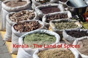 Spice market in Kochi selling produce from Kerala spice plantations