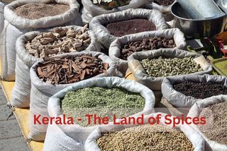 Spice market in Kochi selling produce from Kerala spice plantations