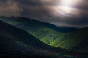 Kerala Tour Packages