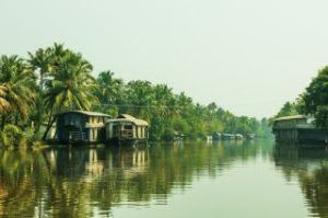 Serene backwater view included in Alleppey houseboat packages