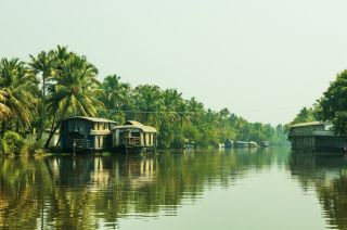 Serene backwater view included in Alleppey houseboat packages