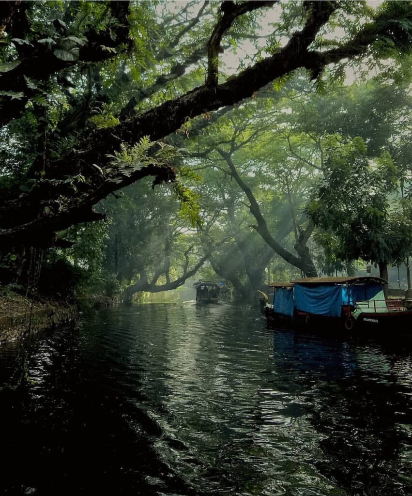 Backwaters of Alappuzha in Kerala – Kerala tour packages