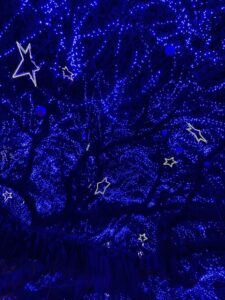 Christmas celebrations in Kerala 2025 with festive lights and Kerala tour packages