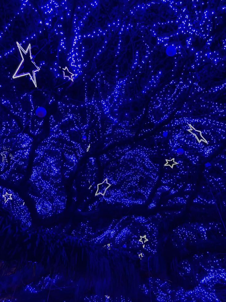 Christmas celebrations in Kerala 2025 with festive lights and Kerala tour packages