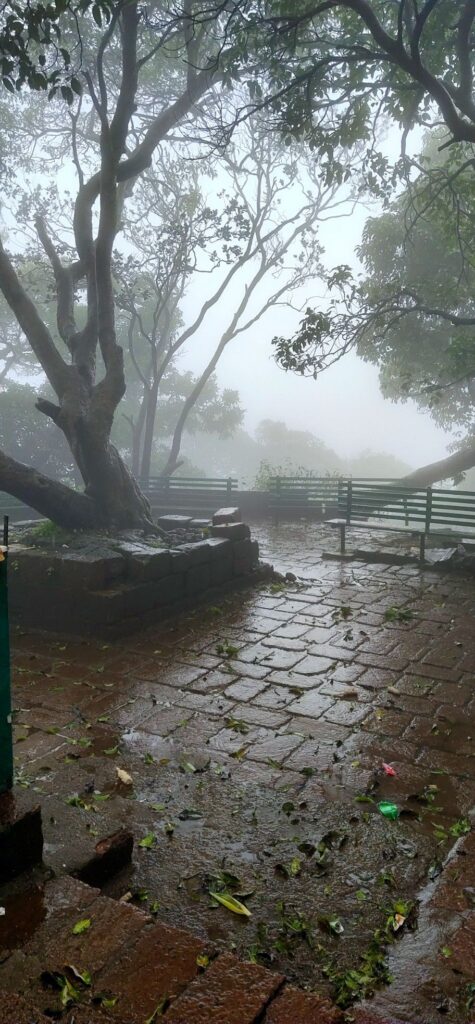 Winter stay at a Kerala hill station homestay – Kerala tour packages