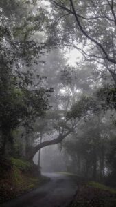 Winter travel in Kerala with pleasant weather and scenic landscapes – Kerala tour packages