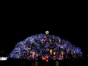 New Year 2026 celebrations in Kerala with festive vibes and Kerala tour packages