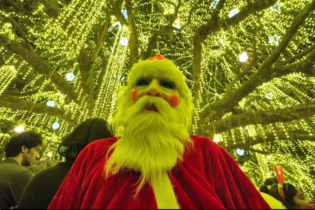 Record-breaking giant Christmas tree attraction in Kochi during December
