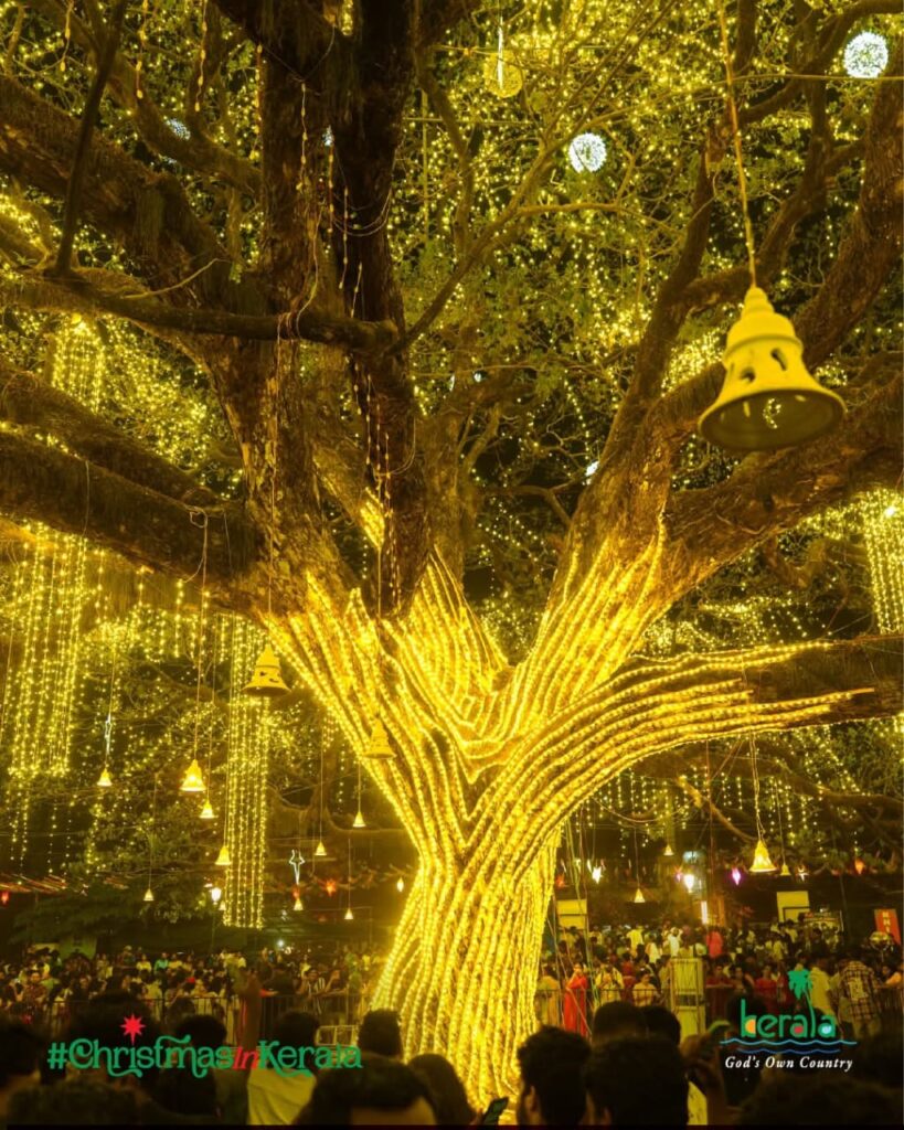 Giant Christmas tree in Kochi decorated with festive lights at night