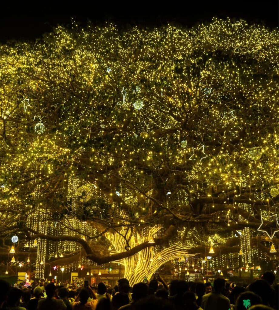 Kochi city Christmas attraction featured in winter keralatourpackages