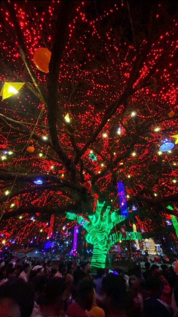 Christmas and New Year celebrations in Kerala during winter season