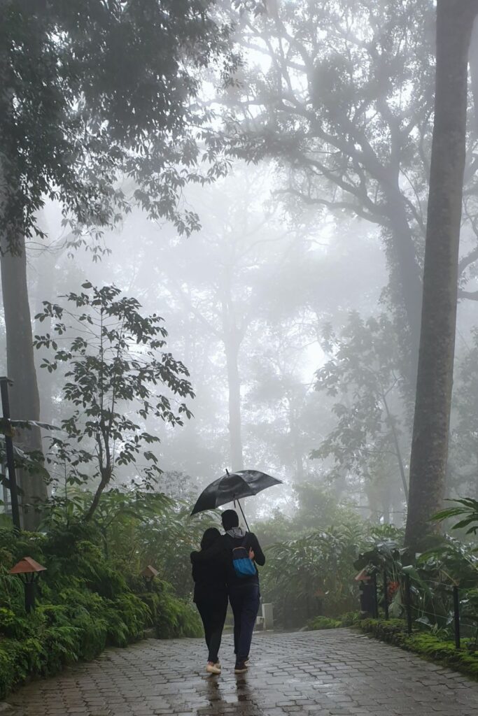 Honeymoon couple in Munnar during February misty weather