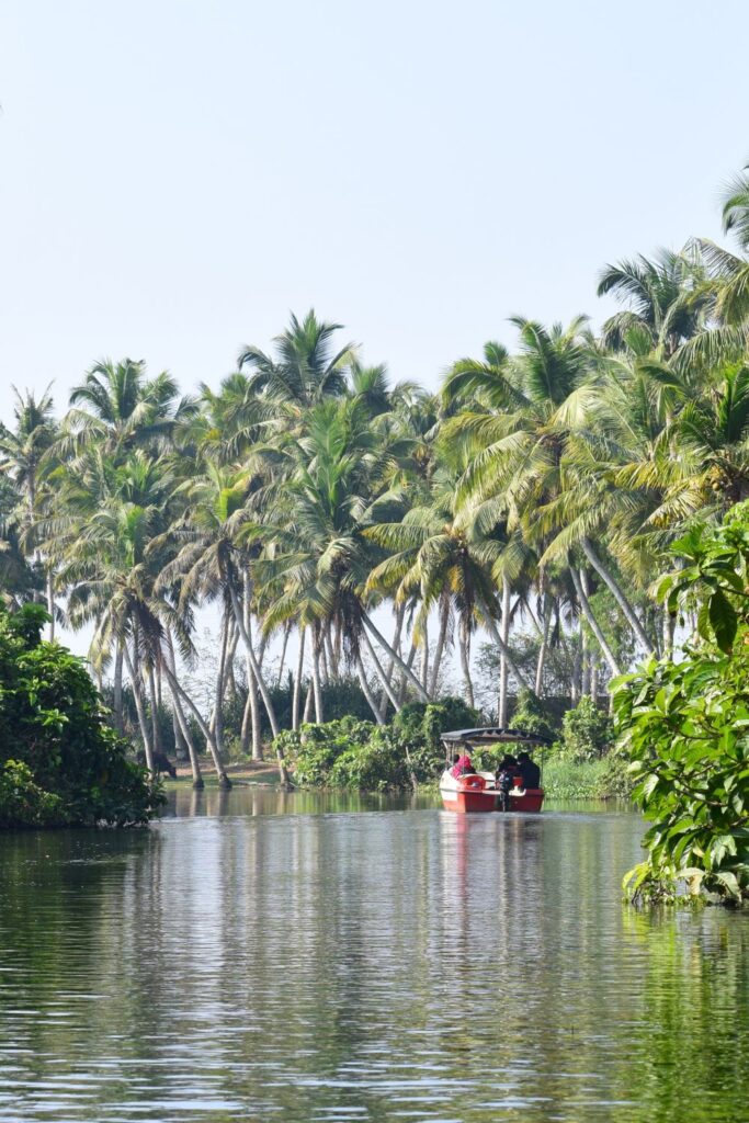 Narrow backwater canals lined with coconut trees