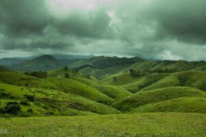 Misty hill stations in Kerala during February with cool weather and scenic views