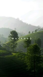 Things to do in Wayanad in summer with scenic hill views and nature experiences in Kerala