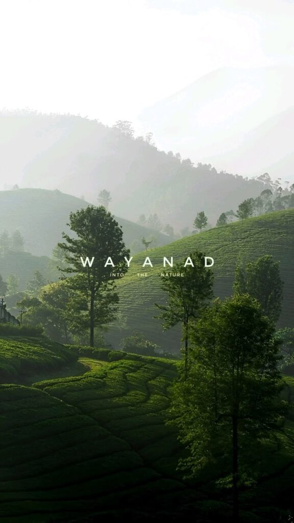 Munnar and Wayanad landscape comparison in February