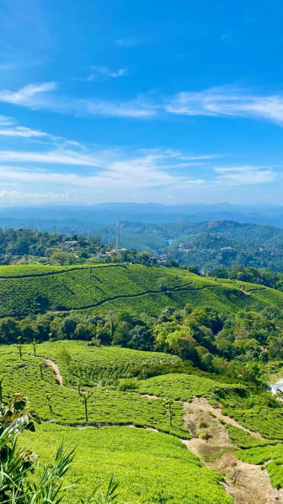 Munnar hill station view during Kerala summer vacation