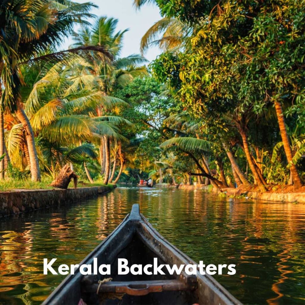 Kerala backwater scenery in Alleppey summer travel