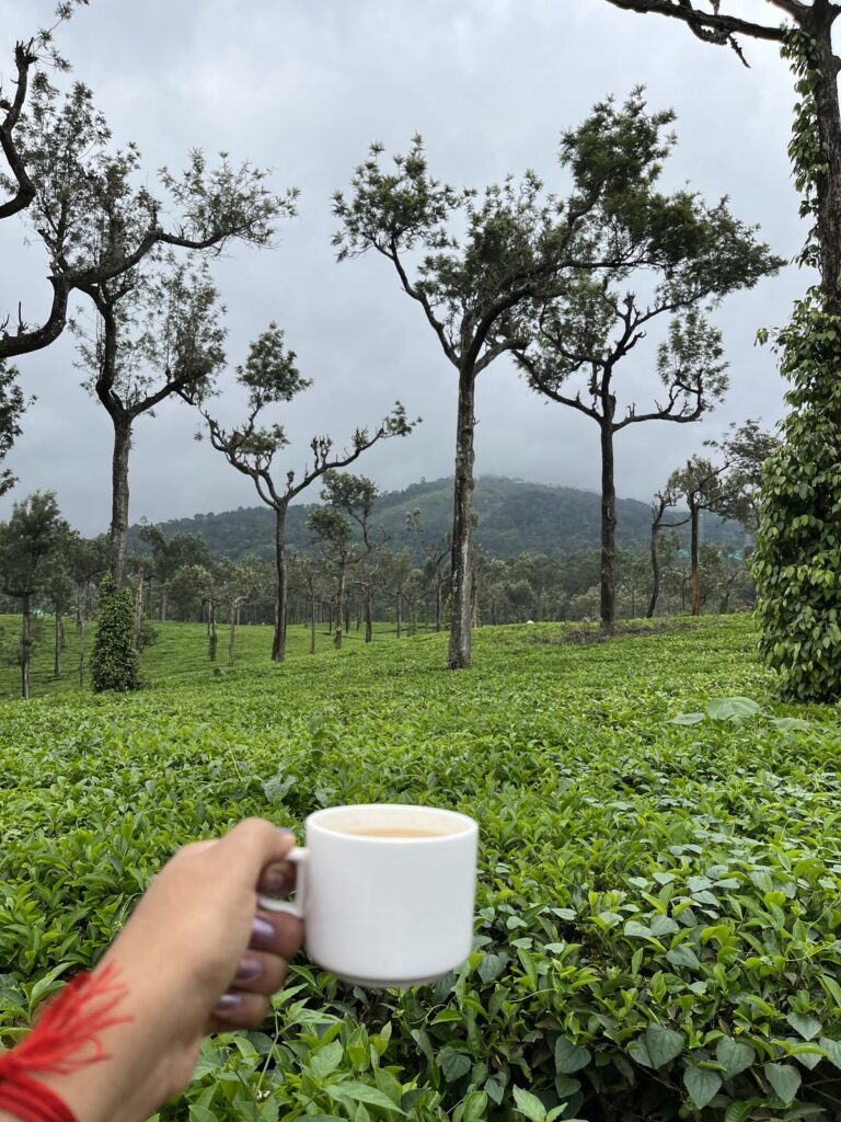local Kerala breakfast included in Kerala travel packages