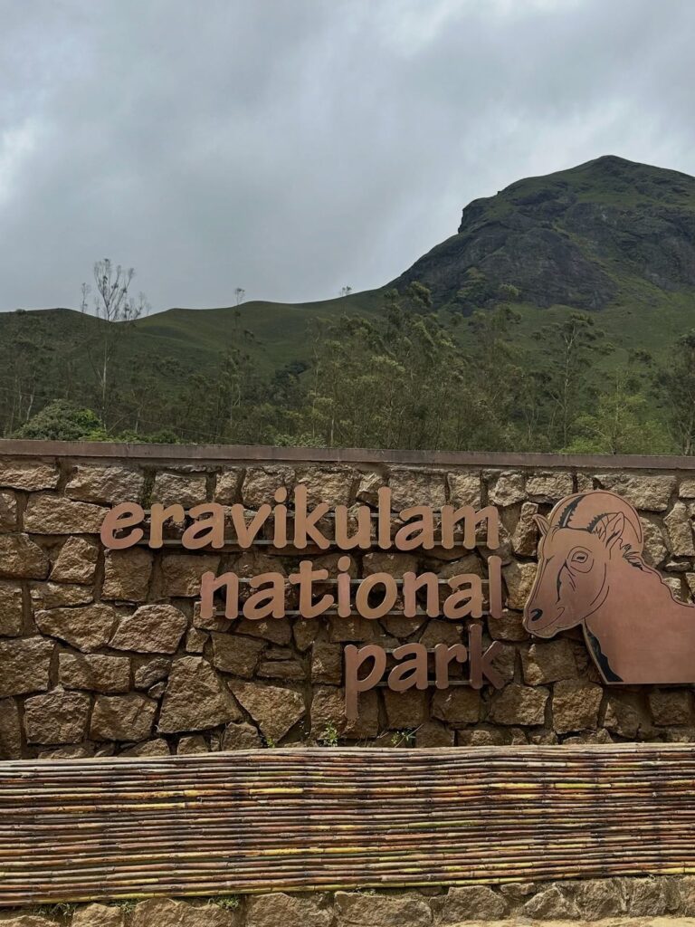 Eravikulam National Park one of the top places to visit in Munnar during summer