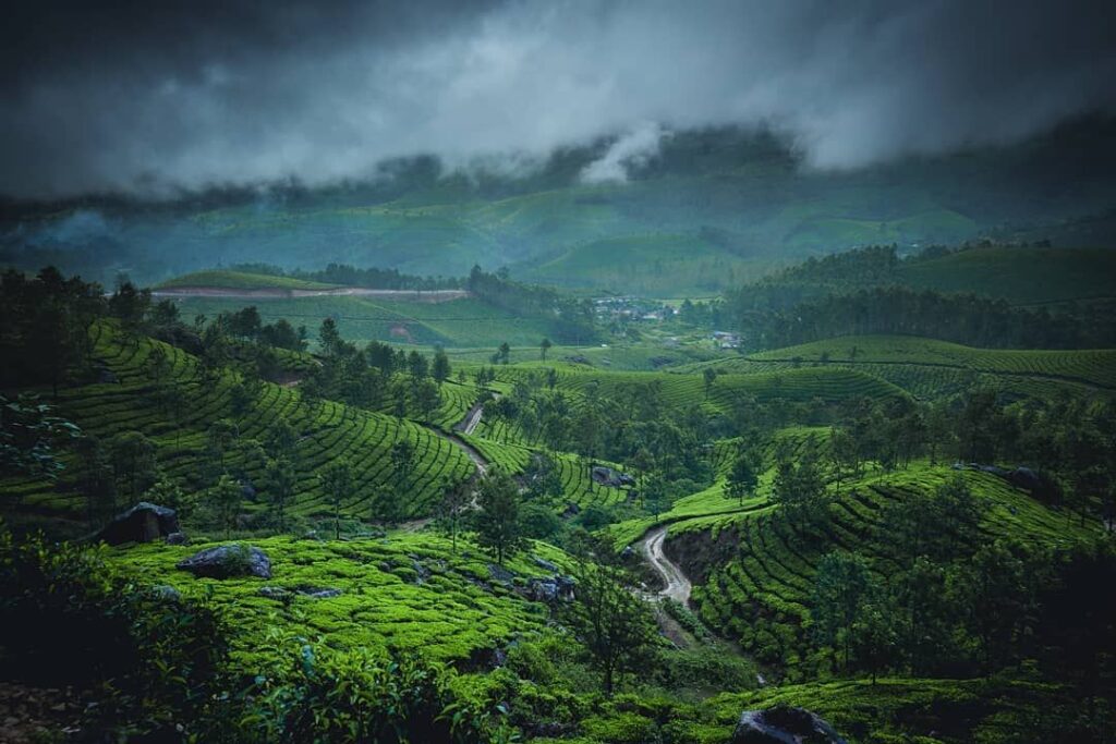 budget Kerala summer tour packages scenic view