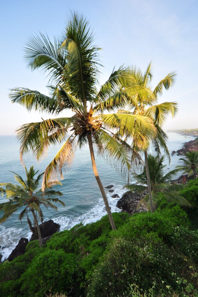 Kerala summer weather hot coastal area