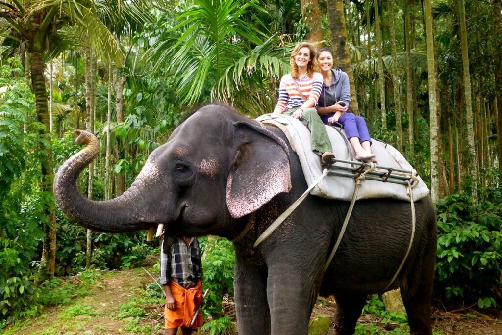 Thekkady wildlife experience Kerala