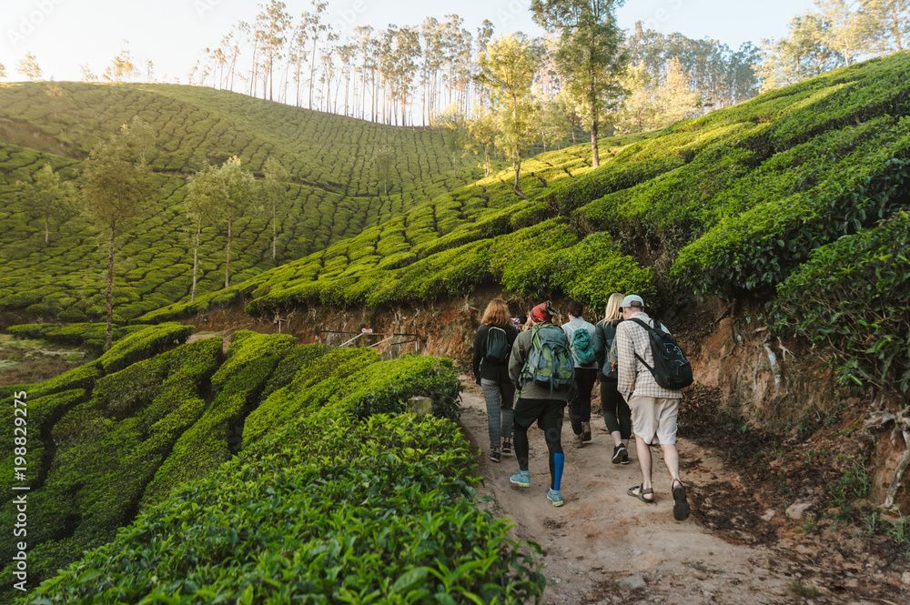 cheap Kerala tour packages summer travel concept