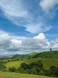 Vagamon hills in summer with green meadows and misty valleys Kerala hill station travel