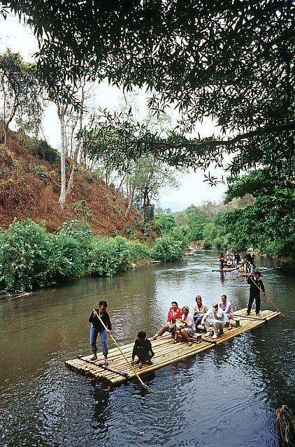 Wildlife safari experience in Wayanad during summer Kerala travel