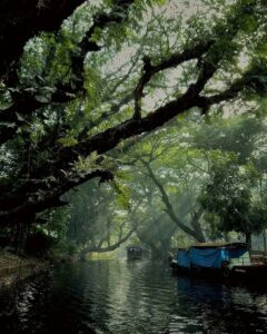 places to visit in Alleppey in summer backwaters