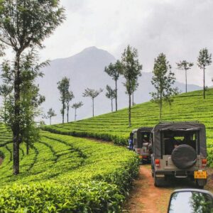 Kerala road trip in summer scenic drive