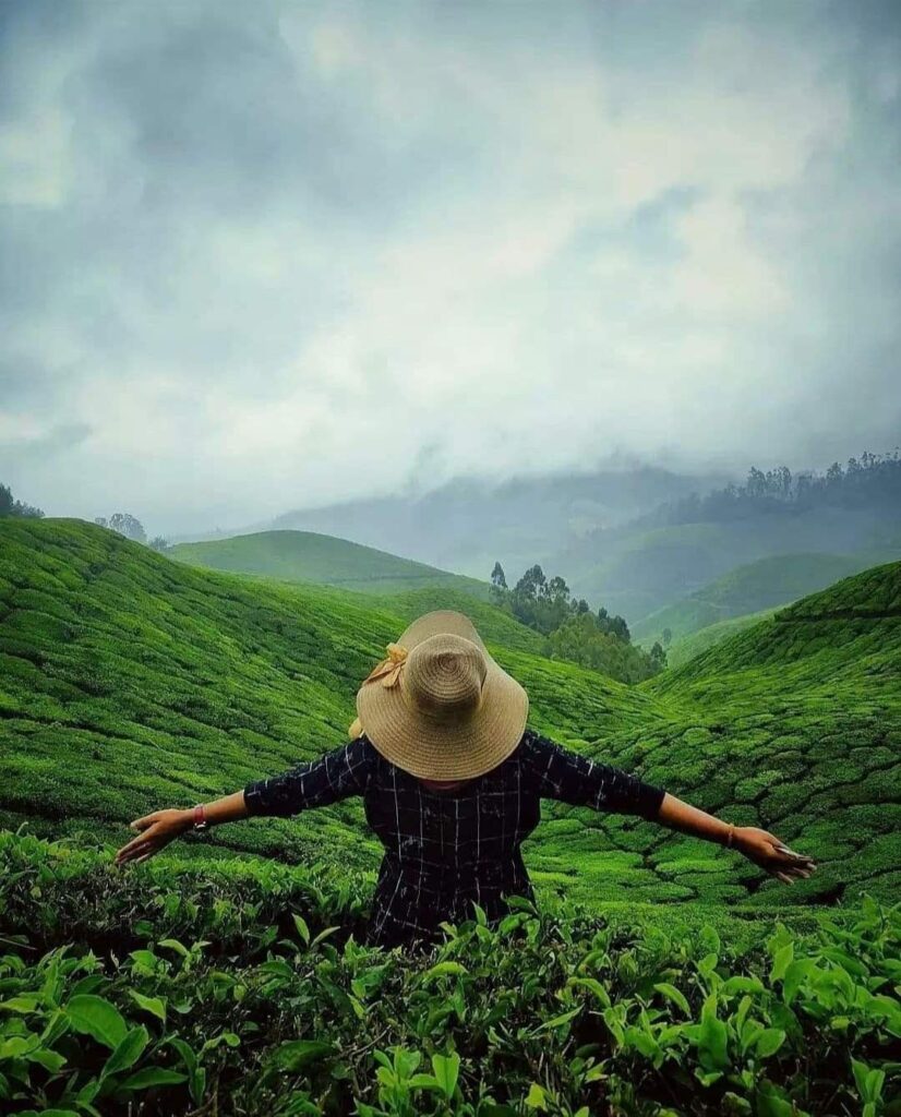 Kerala budget travel guide backpacker trip