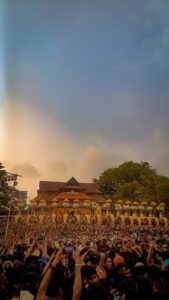 Thrissur Pooram 2026 festival elephants and crowd