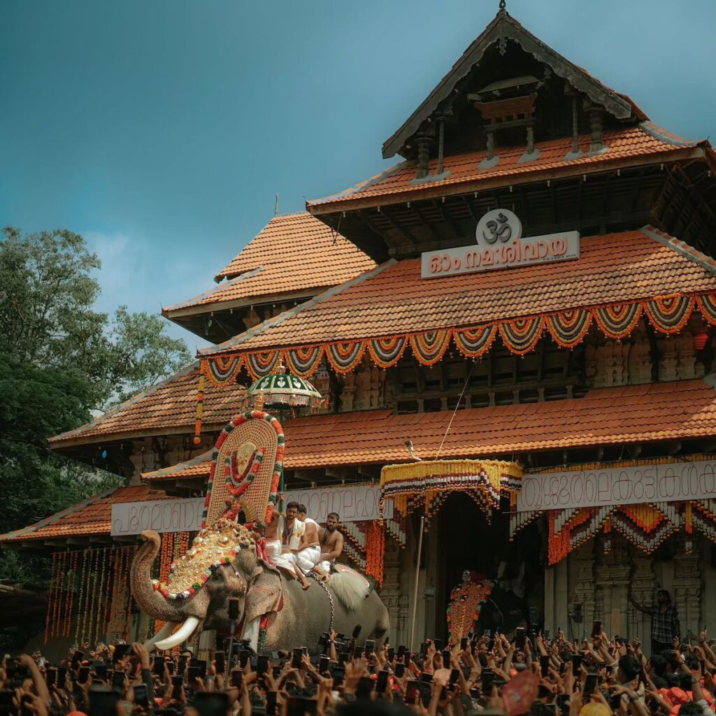 Thrissur Pooram elephant decoration details