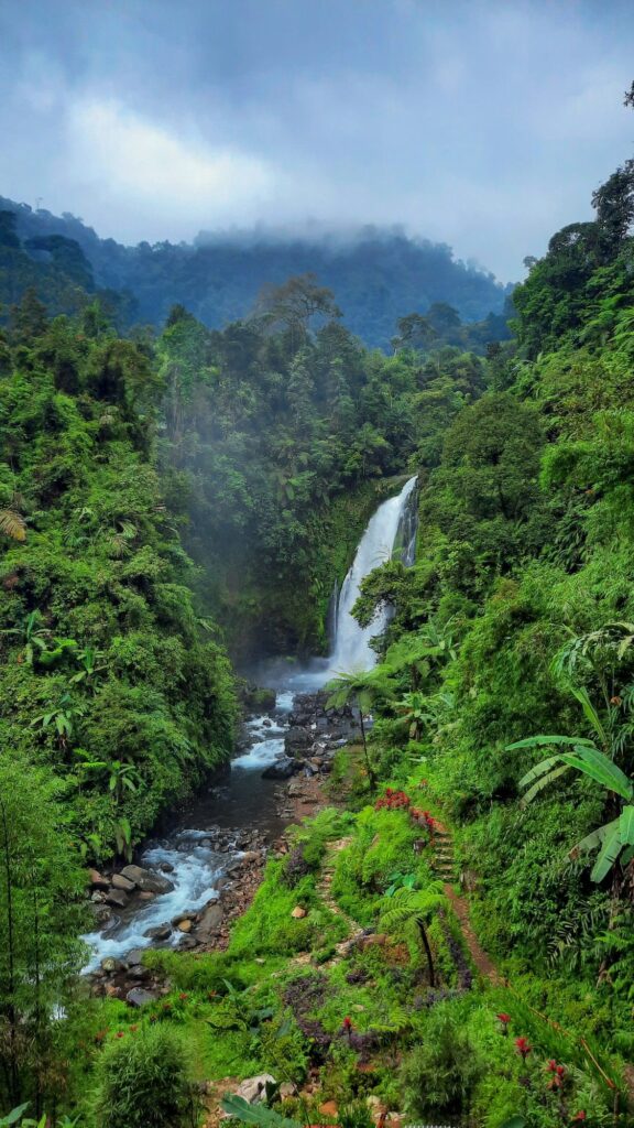 Wayanad summer weather greenery Kerala